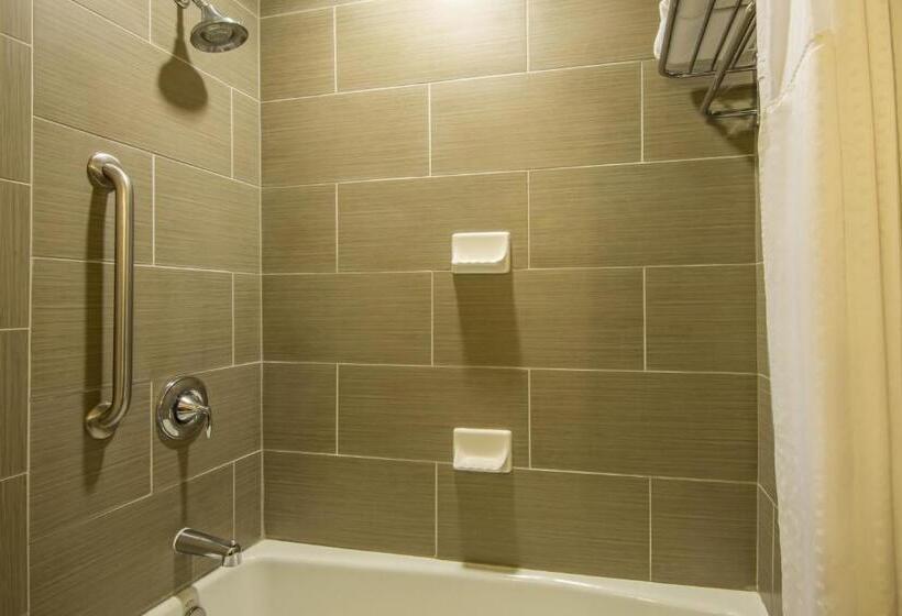 Люкс, Holiday Inn Express Hotel & Suites Hobbs By Ihg