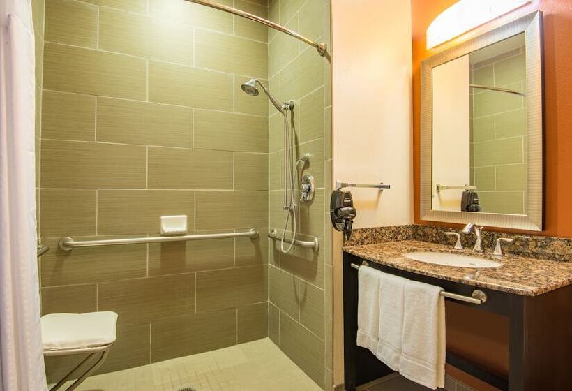Номер Стандарт, Holiday Inn Express Hotel & Suites Hobbs By Ihg