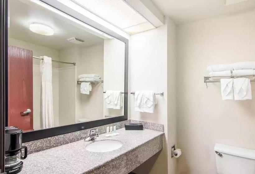 Стандартный Номер Кровать Кинг, Quality Inn Near University Of Mobile
