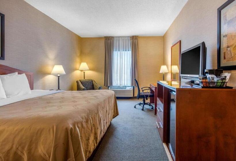 스탠다드 룸 킹사이즈 침대, Quality Inn & Suites Benton  Draffenville