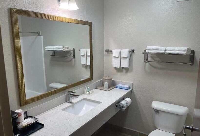 Люкс Кровать Кинг, Quality Inn & Suites