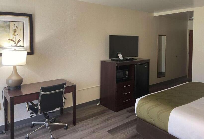 Номер Стандарт Кровать Кинг Адаптированный для Инвалидов, Quality Inn & Suites