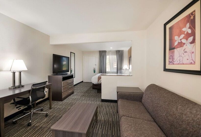 Номер Стандарт, Quality Inn & Suites Lufkin