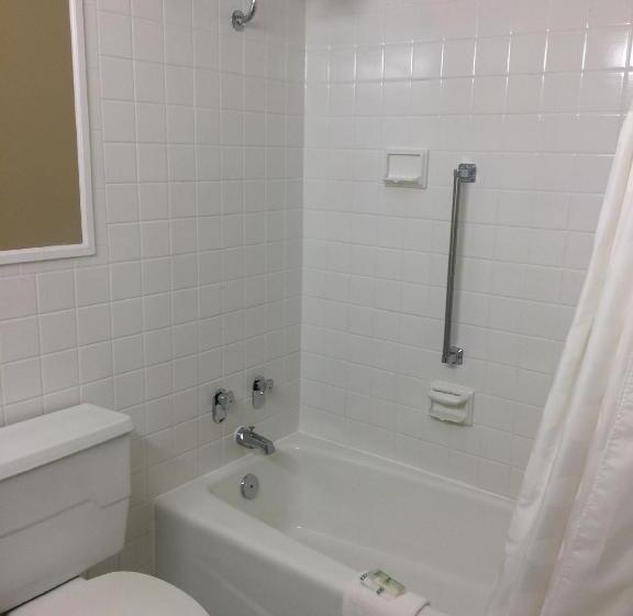 스탠다드 룸 킹사이즈 침대, Surestay Plus Hotel By Best Western Jasper