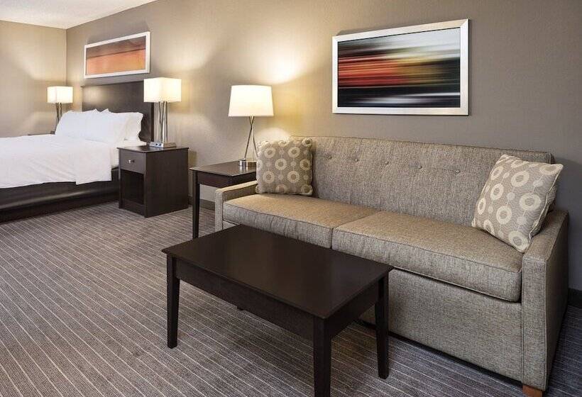 Номер Стандарт, Holiday Inn Express Hotel & Suites Minneapolis   Minnetonka, An Ihg
