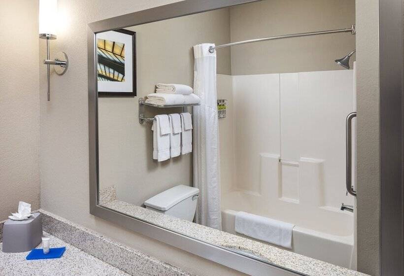 Люкс Адаптированный для Инвалидов, Holiday Inn Express Hotel & Suites Minneapolis   Minnetonka, An Ihg