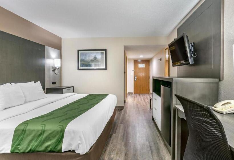 带大床的标准间, Quality Inn