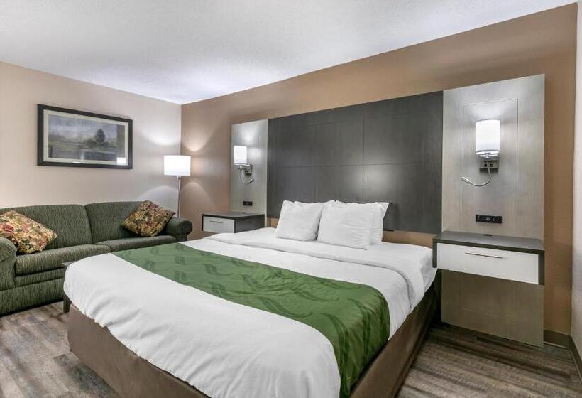 带大床的标准间, Quality Inn