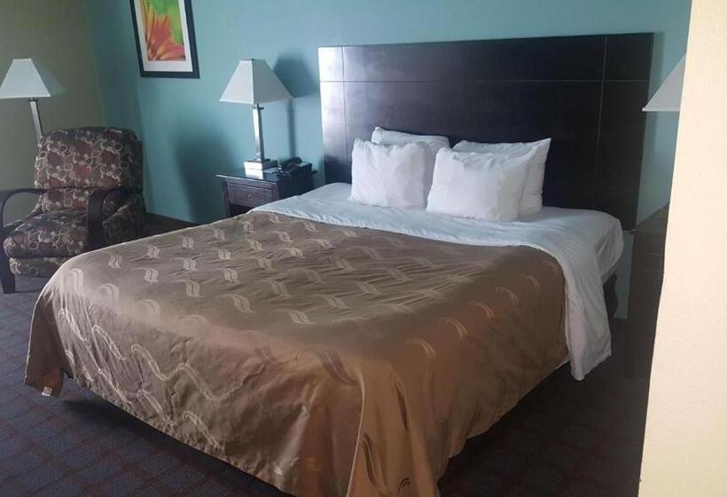 Номер Стандарт Кровать Кинг Адаптированный для Инвалидов, Surestay Plus Hotel By Best Western Blue Springs