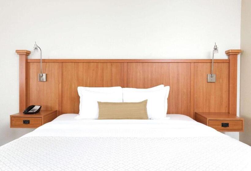 シングルデラックスルーム, Wyndham Garden Hotel Austin