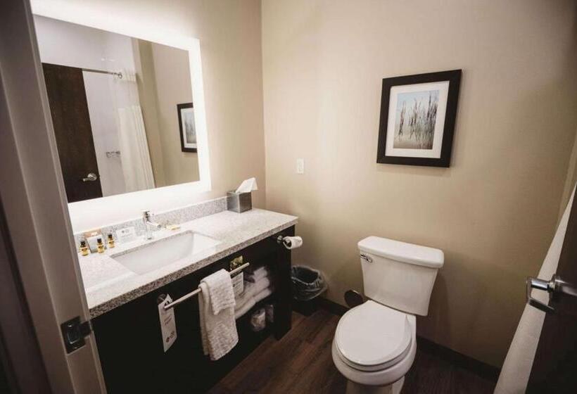 Номер Стандарт Индивидуальный Кровать Кинг, Best Western Plus Lakeview