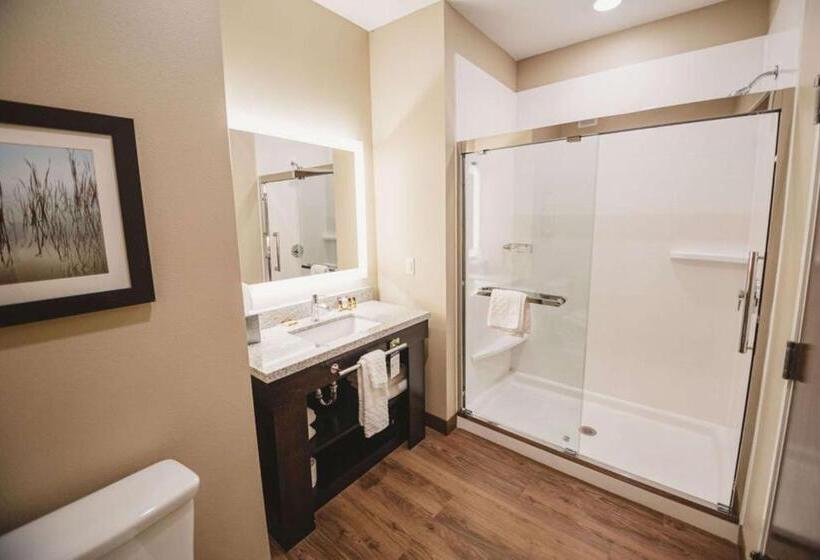 Номер Стандарт Индивидуальный Кровать Кинг, Best Western Plus Lakeview