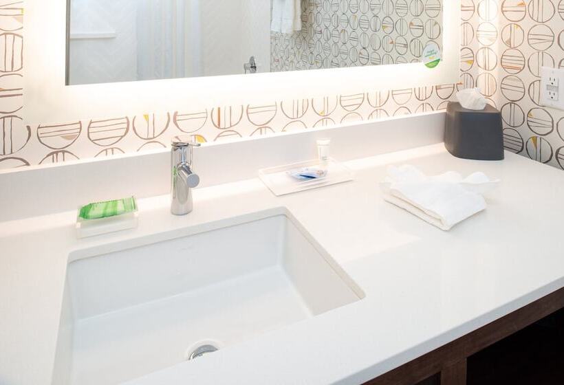 套房, Holiday Inn & Suites   Idaho Falls, An Ihg