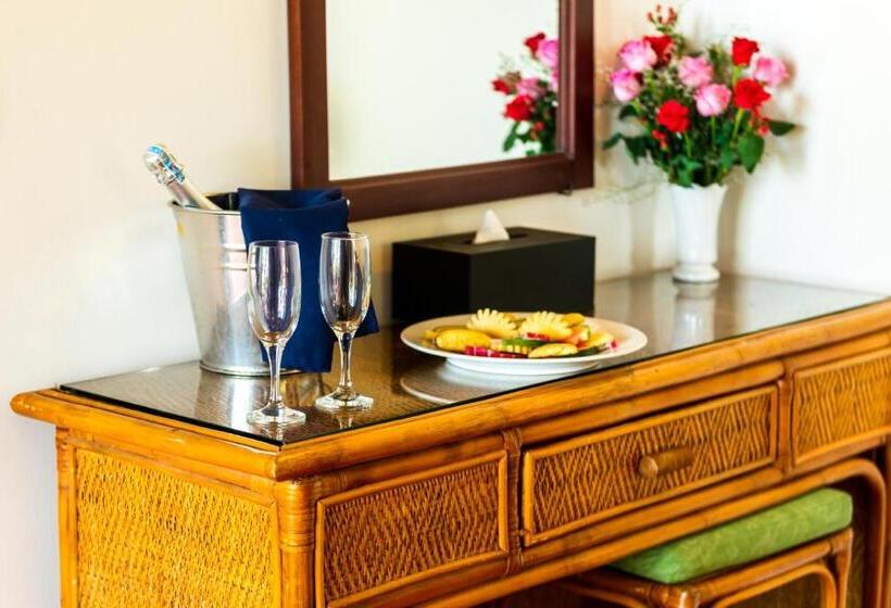 اتاق استاندارد با چشم‌انداز باغ, White Sand Resort Mui Ne