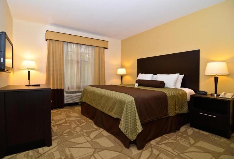 Стандартный Номер Кровать Кинг, Best Western Plus The Inn & Suites At The Falls
