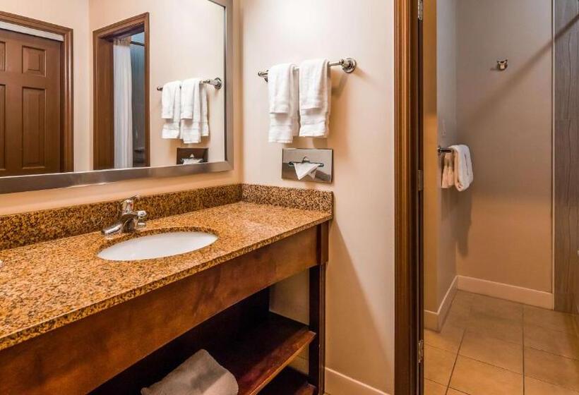 Номер Стандарт, Best Western Plus The Inn & Suites At The Falls