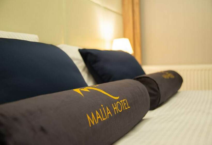 اتاق استاندارد یک نفره, Malia Otel