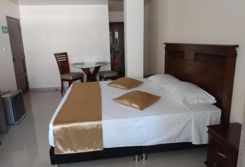 Номер Deluxe Кровать Кинг, Apartahotel Lion