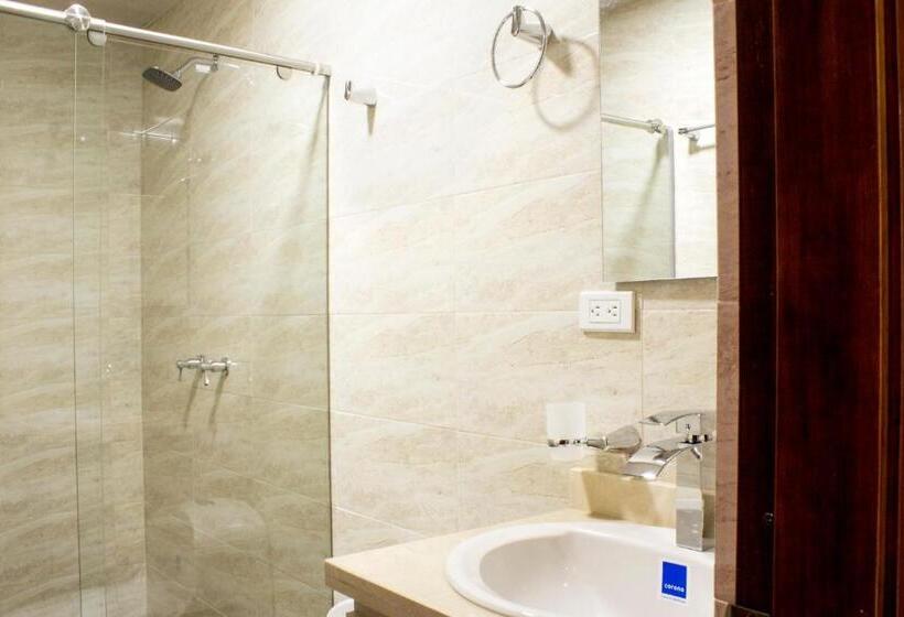 Номер Deluxe Кровать Кинг, Apartahotel Lion