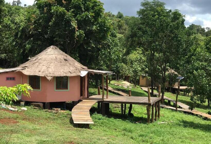 اتاق استاندارد, Gibbon Lodge