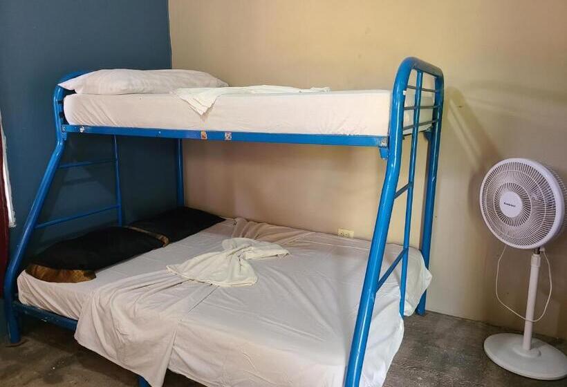 Quarto Estandar Individual, Sophie House
