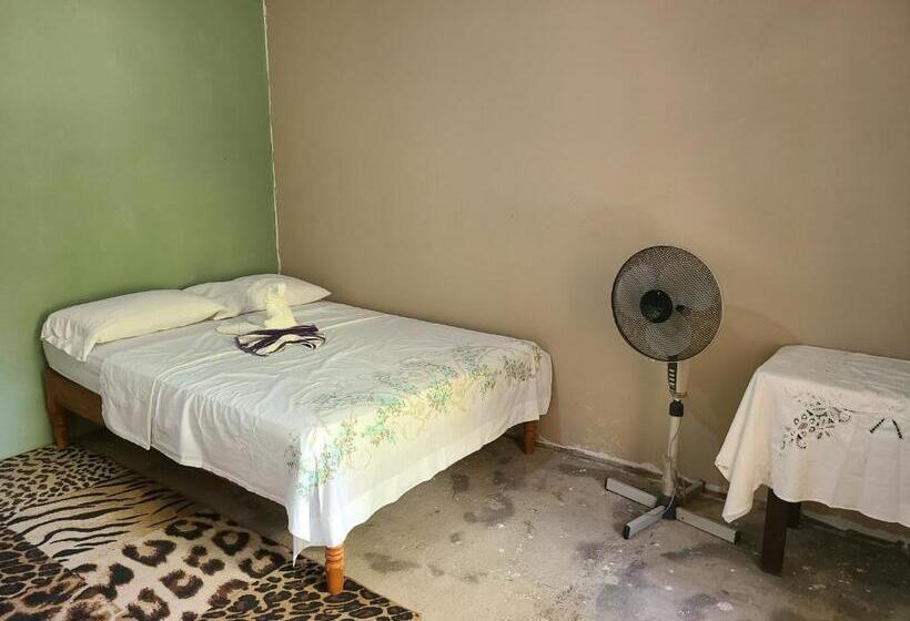 Quarto Estandar Individual, Sophie House