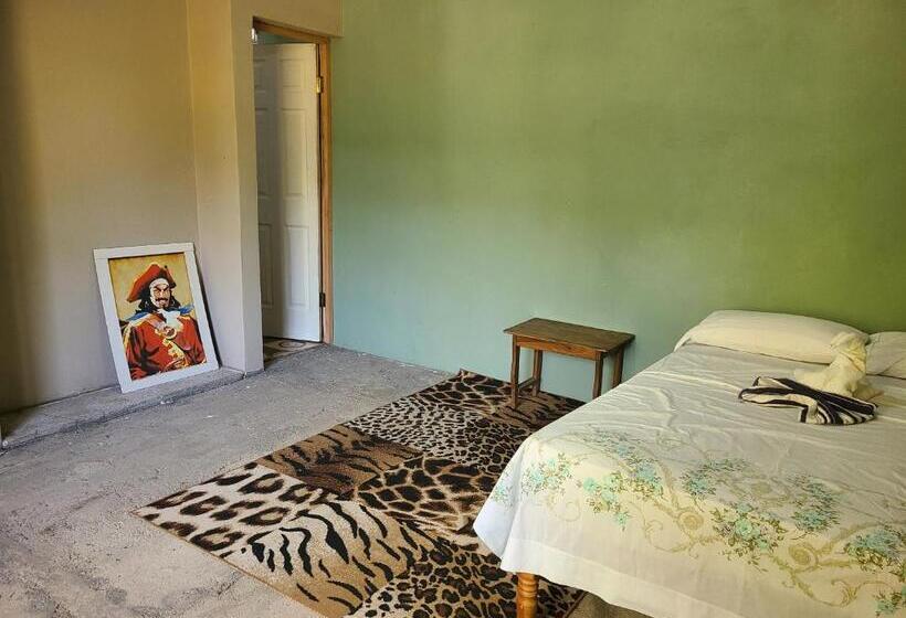 Quarto Estandar Individual, Sophie House
