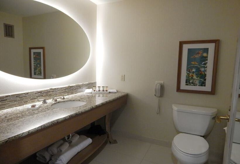 Habitació Estàndard Llit Queen, Moody Gardens Hotel Spa And Convention Center