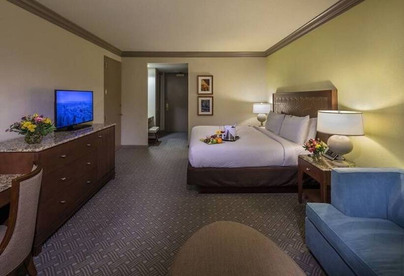 Habitació Estàndard Llit King, Moody Gardens Hotel Spa And Convention Center