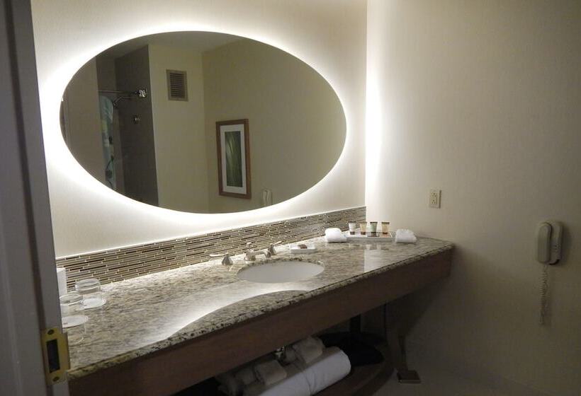 Habitació Estàndard Adaptada per a Discapacitats, Moody Gardens Hotel Spa And Convention Center