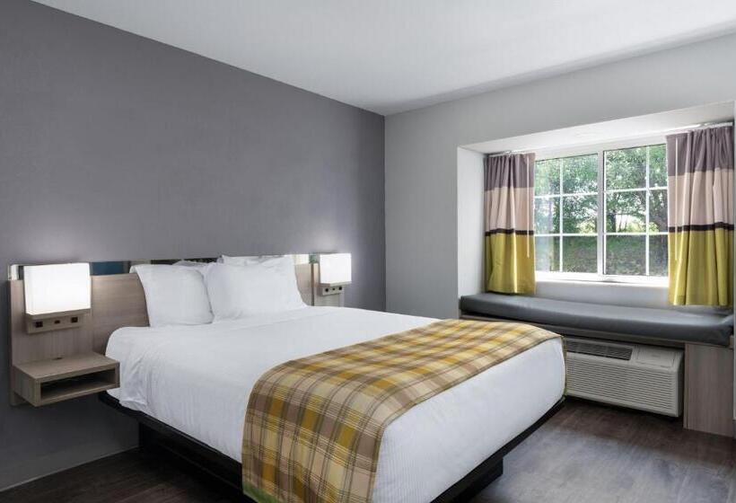 غرفة قياسية لذوى الاحتياجات الخاصة, Microtel Inn By Wyndham Spartanburg Duncan