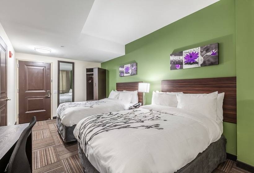 اتاق استاندارد با 2 تخت دوبل, Van Wyck Hotel & Suites Near Jfk Airport