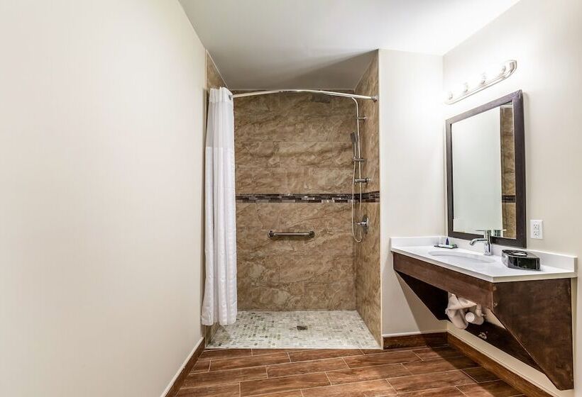 اتاق استاندارد با 2 تخت دوبل, Van Wyck Hotel & Suites Near Jfk Airport