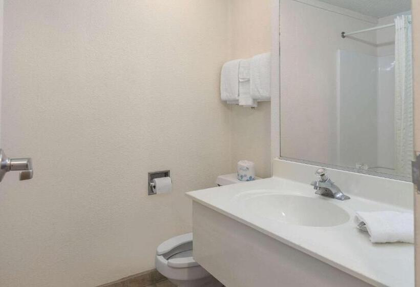 Стандартный Номер Кровать Кинг, Rodeway Inn Auburn Hills   Detroit
