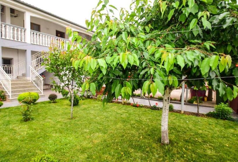 آپارتمان 1 خوابه, Apartments Duje Zadar
