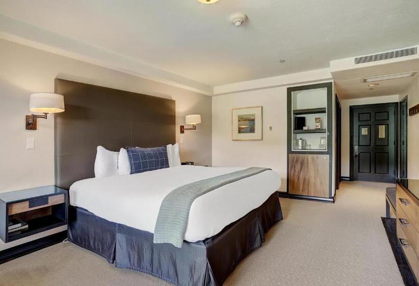 اتاق سوپریور با تخت بزرگ, The Pines Lodge, A Rockresort