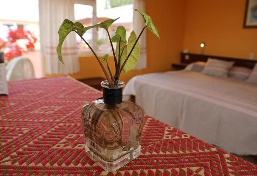 اتاق لوکس با تخت بزرگ, Belisana