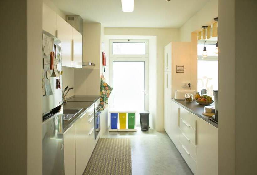 Номер Стандарт, The Holy Cow  Hostel & Suites