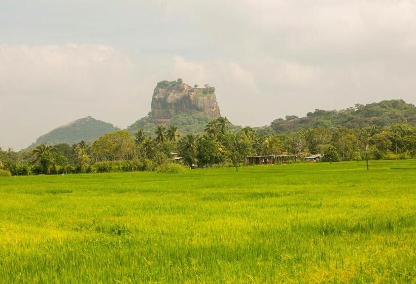 Семейный Номер, Royal Rock Sigiriya