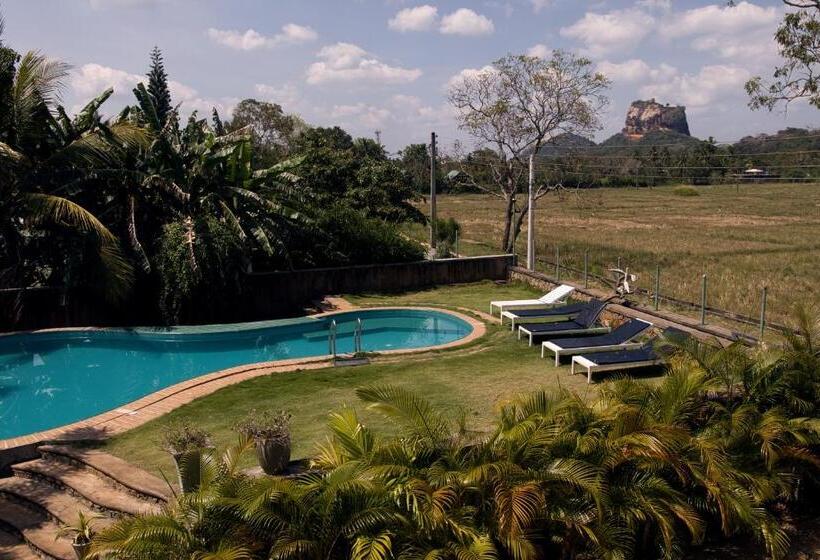Номер Стандарт Вид на Бассейн, Royal Rock Sigiriya