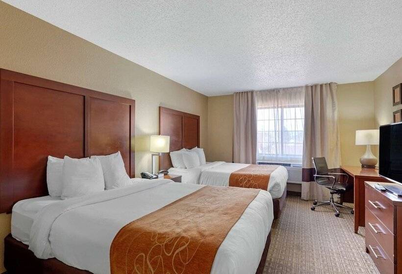 Люкс, Comfort Suites Lakewood   Denver