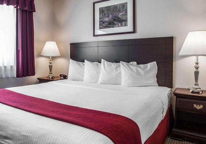 سوئیت با تخت بزرگ, Quality Inn Grand Suites Bellingham