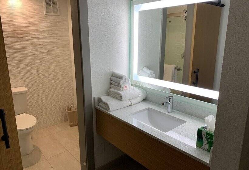 Pokój Standard 2 Łóżka Małżeńskie, Comfort Inn & Suites Nashville Downtown   Stadium
