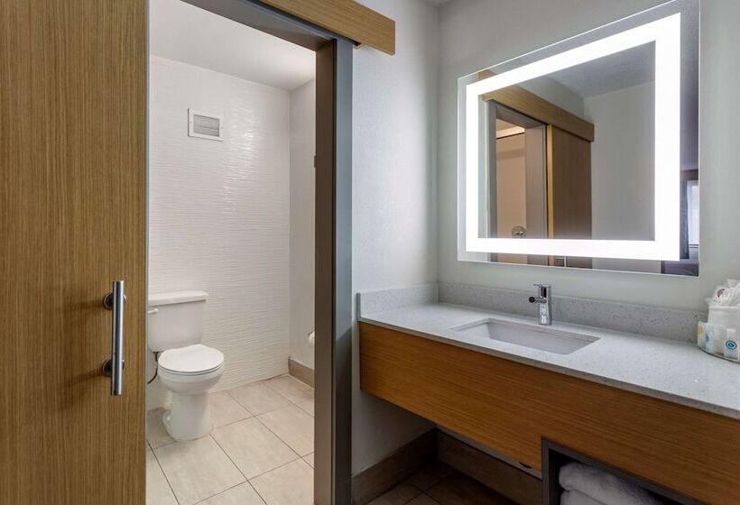 Pokój Standard 2 Łóżka Małżeńskie, Comfort Inn & Suites Nashville Downtown   Stadium