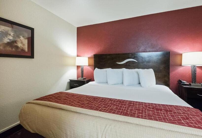 Люкс Кровать Кинг, Red Roof Inn Oklahoma Airport I 40 W Fairgrounds