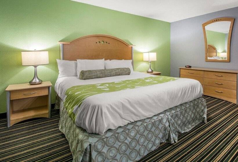 سوییت, Rodeway Inn & Suites Winter Haven Chain Of Lakes