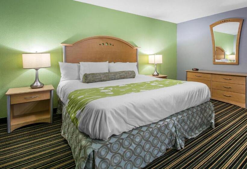 اتاق استاندارد با تخت بزرگ, Rodeway Inn & Suites Winter Haven Chain Of Lakes