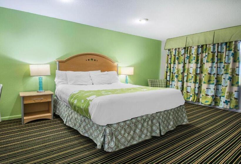 اتاق استاندارد با تخت بزرگ, Rodeway Inn & Suites Winter Haven Chain Of Lakes