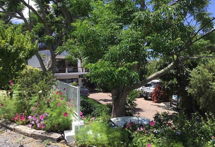 Номер Economy, Oceangolf Guest House