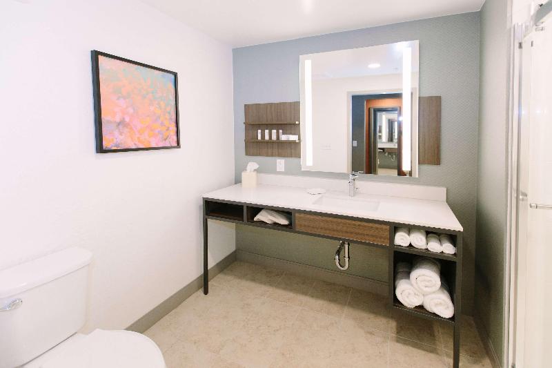 اتاق لوکس با تخت بزرگ, Hilton Garden Inn Winter Park